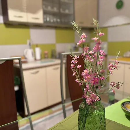 דירה Centar Main Street סראייבו